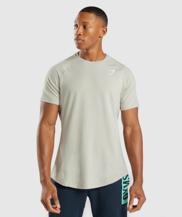 Panske Tricka Gymshark Bold Siva | ZR8174503